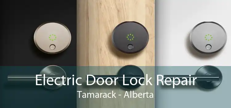 Electric Door Lock Repair Tamarack - Alberta