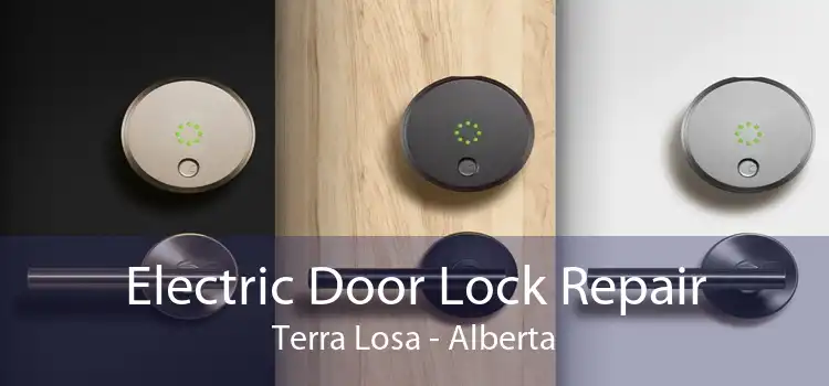 Electric Door Lock Repair Terra Losa - Alberta