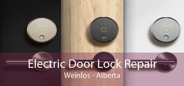 Electric Door Lock Repair Weinlos - Alberta