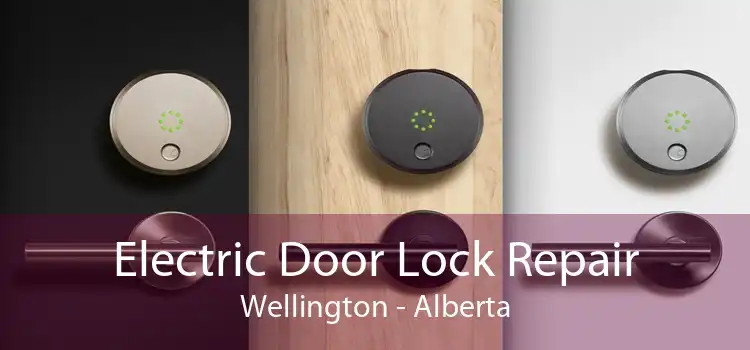 Electric Door Lock Repair Wellington - Alberta
