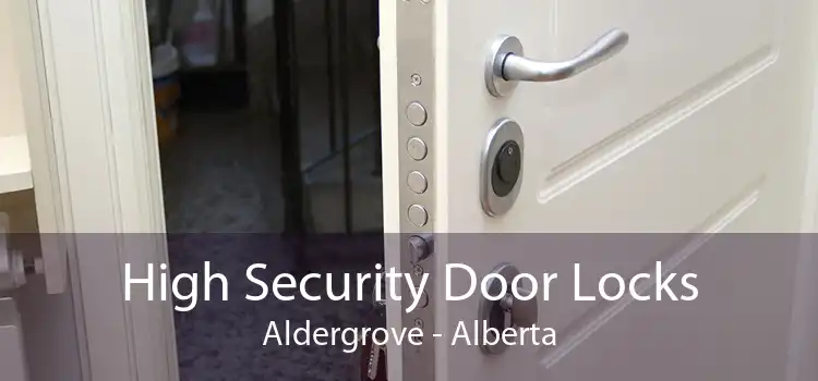 High Security Door Locks Aldergrove - Alberta