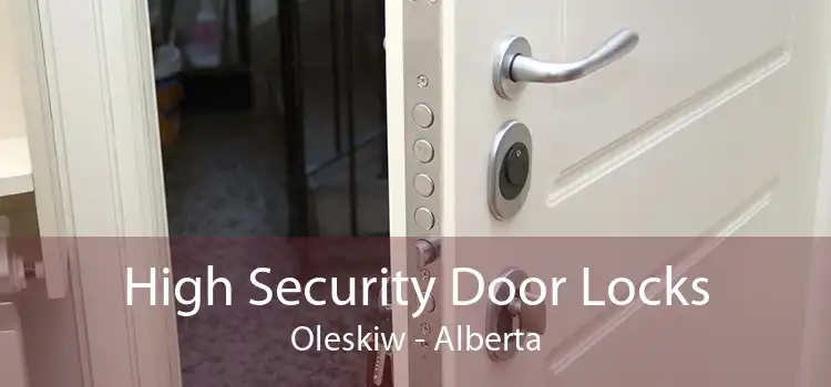 High Security Door Locks Oleskiw - Alberta