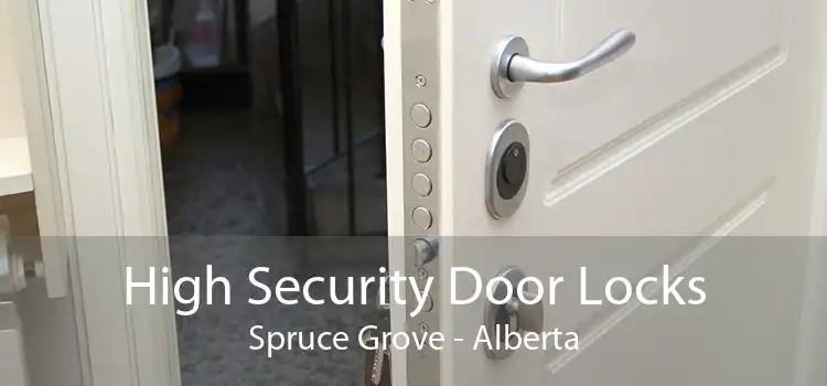 High Security Door Locks Spruce Grove - Alberta