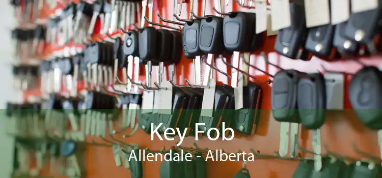 Key Fob Allendale - Alberta