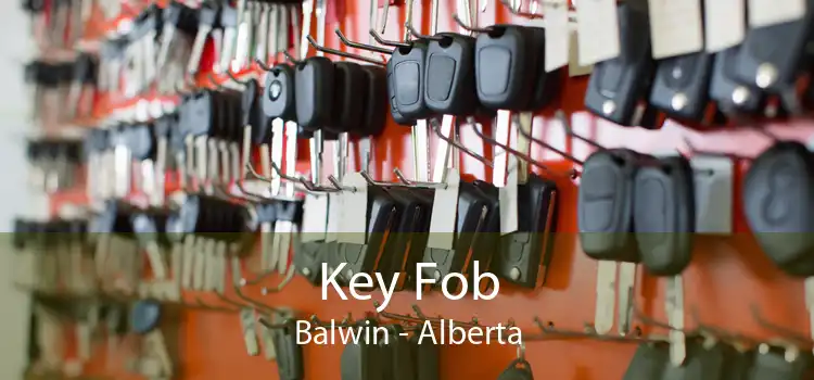 Key Fob Balwin - Alberta