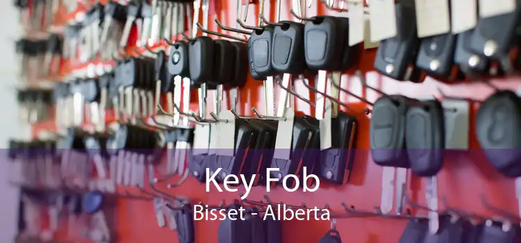 Key Fob Bisset - Alberta
