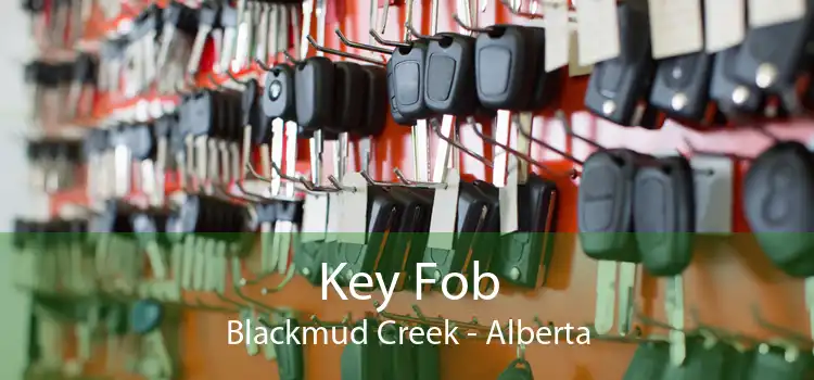 Key Fob Blackmud Creek - Alberta