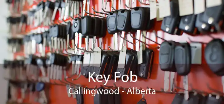 Key Fob Callingwood - Alberta
