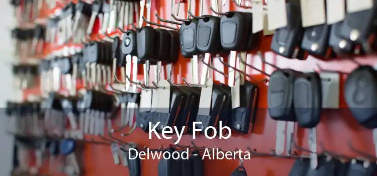 Key Fob Delwood - Alberta