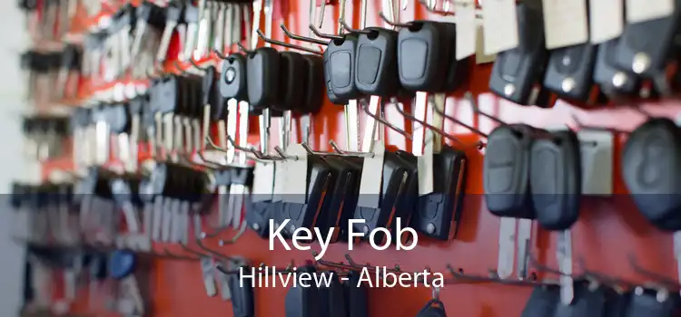 Key Fob Hillview - Alberta