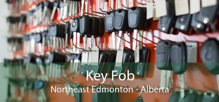 Key Fob Northeast Edmonton - Alberta