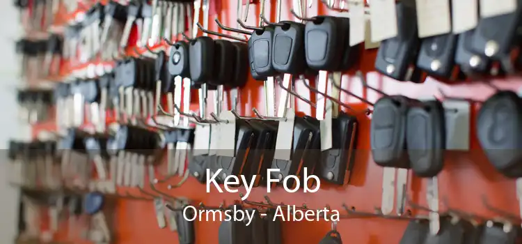 Key Fob Ormsby - Alberta