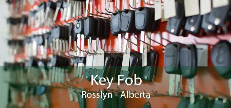 Key Fob Rosslyn - Alberta
