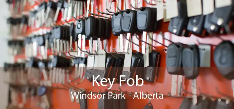 Key Fob Windsor Park - Alberta