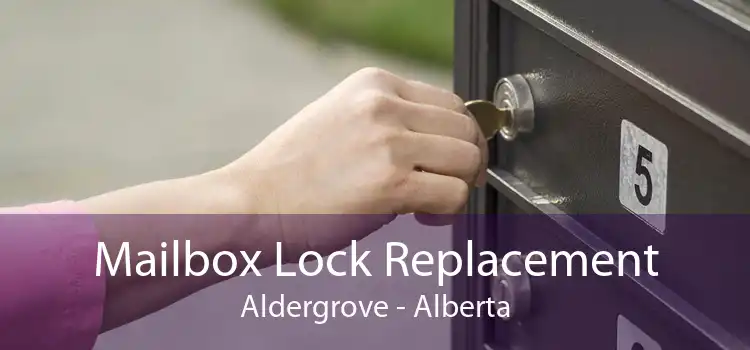 Mailbox Lock Replacement Aldergrove - Alberta