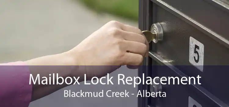 Mailbox Lock Replacement Blackmud Creek - Alberta