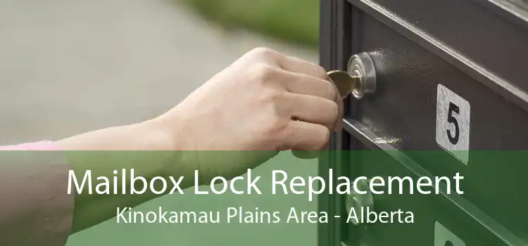 Mailbox Lock Replacement Kinokamau Plains Area - Alberta