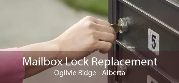 Mailbox Lock Replacement Ogilvie Ridge - Alberta