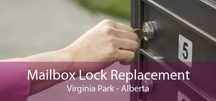 Mailbox Lock Replacement Virginia Park - Alberta