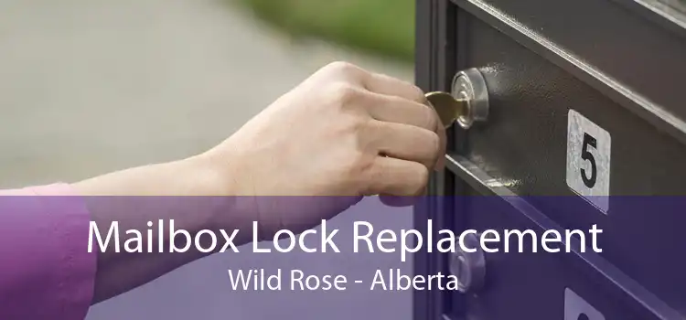 Mailbox Lock Replacement Wild Rose - Alberta