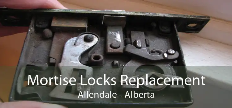 Mortise Locks Replacement Allendale - Alberta