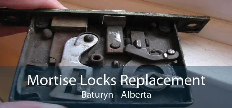 Mortise Locks Replacement Baturyn - Alberta