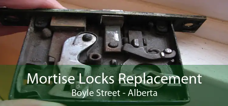 Mortise Locks Replacement Boyle Street - Alberta