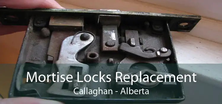 Mortise Locks Replacement Callaghan - Alberta