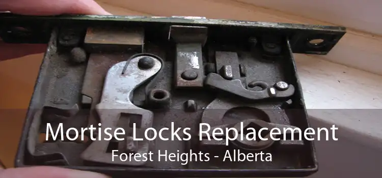 Mortise Locks Replacement Forest Heights - Alberta