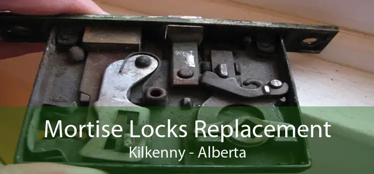 Mortise Locks Replacement Kilkenny - Alberta