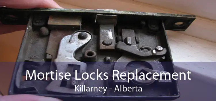 Mortise Locks Replacement Killarney - Alberta