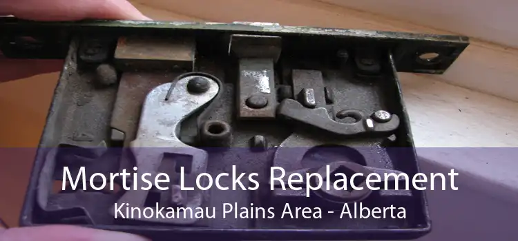 Mortise Locks Replacement Kinokamau Plains Area - Alberta