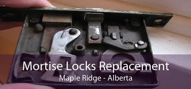 Mortise Locks Replacement Maple Ridge - Alberta