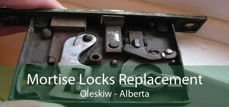 Mortise Locks Replacement Oleskiw - Alberta