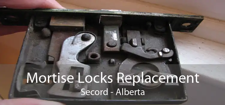 Mortise Locks Replacement Secord - Alberta