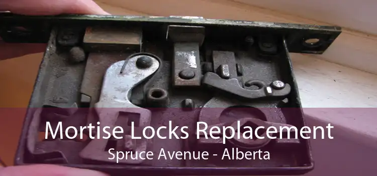 Mortise Locks Replacement Spruce Avenue - Alberta