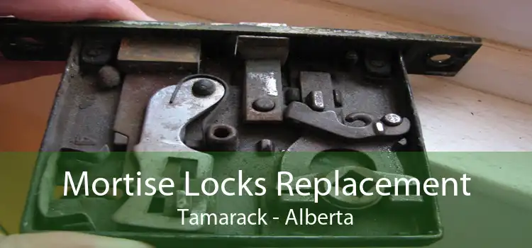 Mortise Locks Replacement Tamarack - Alberta
