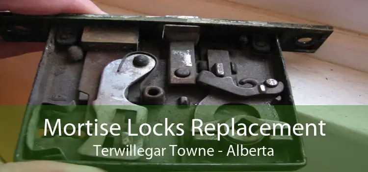 Mortise Locks Replacement Terwillegar Towne - Alberta