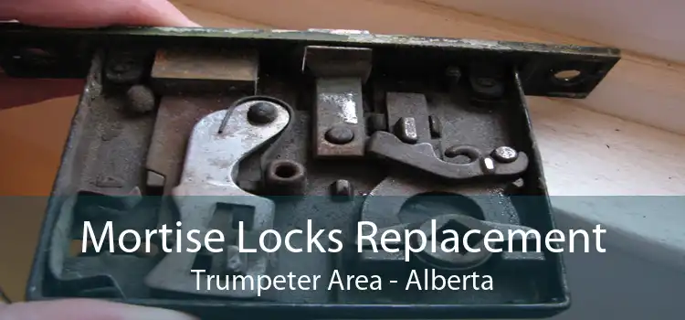 Mortise Locks Replacement Trumpeter Area - Alberta