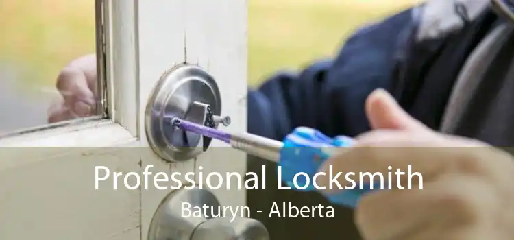 Professional Locksmith Baturyn - Alberta