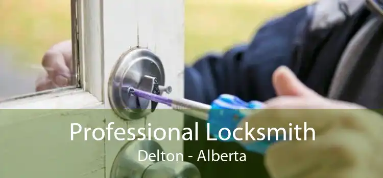 Professional Locksmith Delton - Alberta