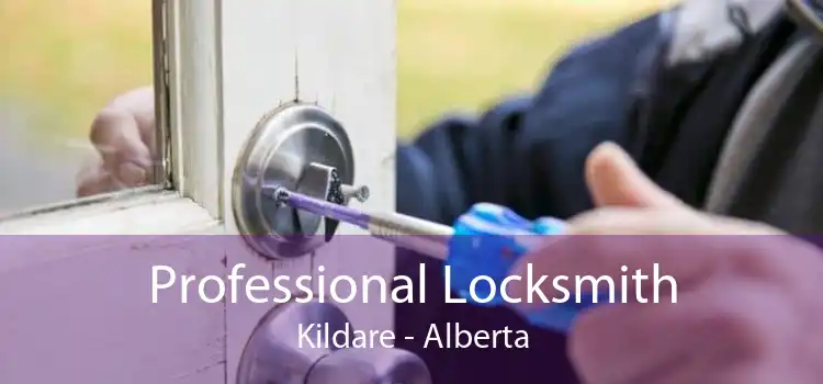 Professional Locksmith Kildare - Alberta
