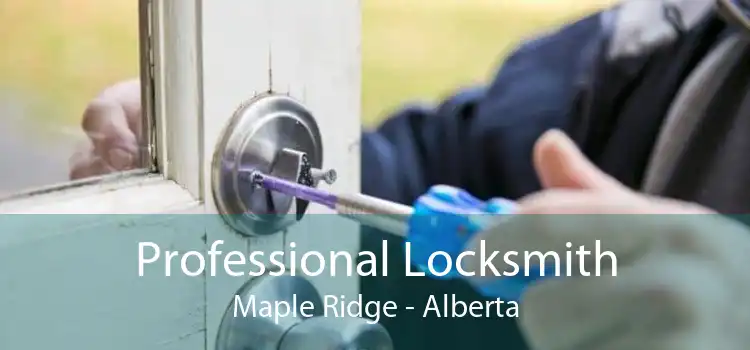 Professional Locksmith Maple Ridge - Alberta