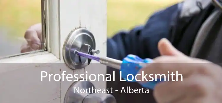 Professional Locksmith Northeast - Alberta