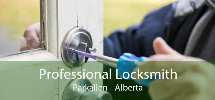 Professional Locksmith Parkallen - Alberta