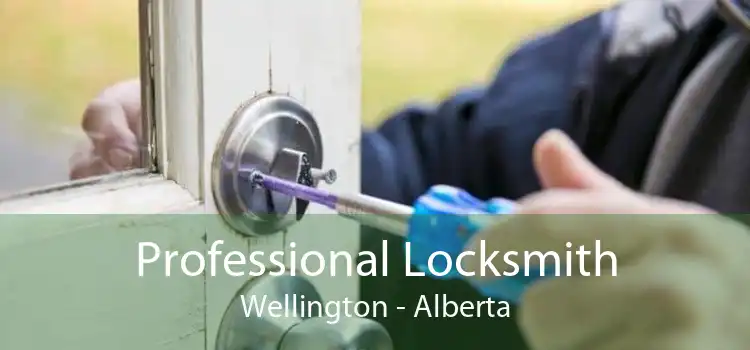 Professional Locksmith Wellington - Alberta