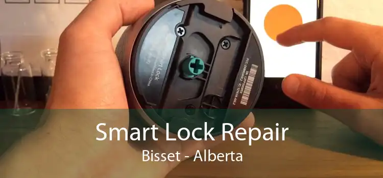 Smart Lock Repair Bisset - Alberta