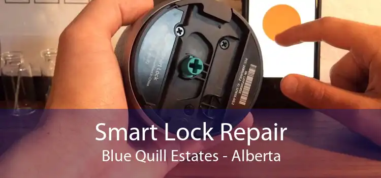 Smart Lock Repair Blue Quill Estates - Alberta