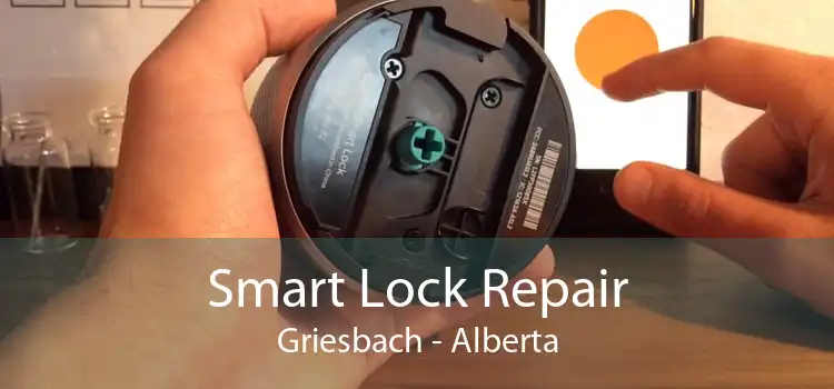 Smart Lock Repair Griesbach - Alberta