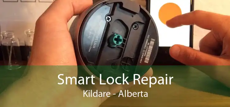 Smart Lock Repair Kildare - Alberta
